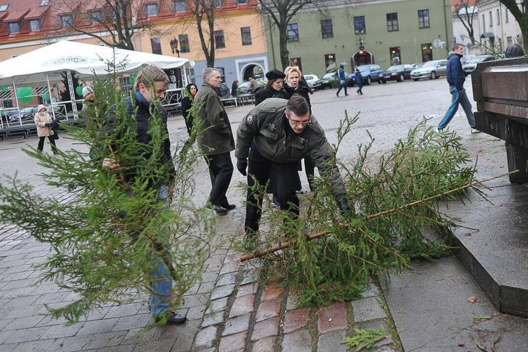Nemokamos eglutės Kaune – sugadinta kalėdinė nuotaika