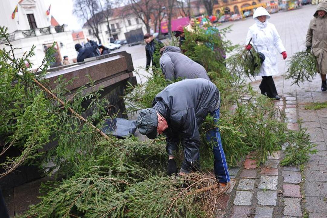Nemokamos eglutės Kaune – sugadinta kalėdinė nuotaika