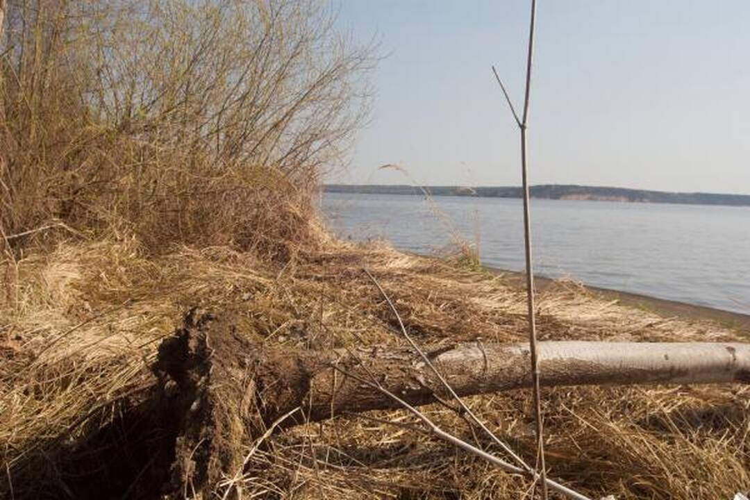 Prokurorai: L.Stankūnaitė neatmetė, kad rastas kūnas - D.Kedžio (papildyta)