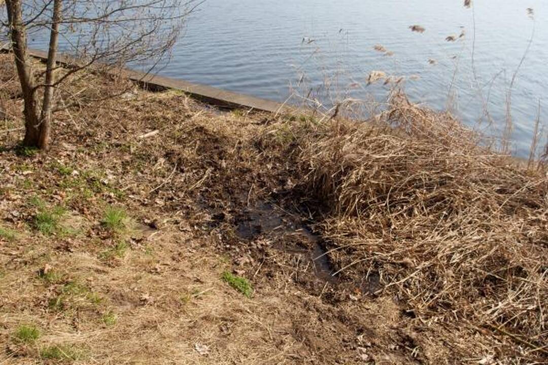 Prokurorai: L.Stankūnaitė neatmetė, kad rastas kūnas - D.Kedžio (papildyta)