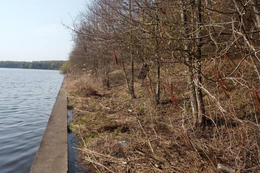 Prokurorai: L.Stankūnaitė neatmetė, kad rastas kūnas - D.Kedžio (papildyta)