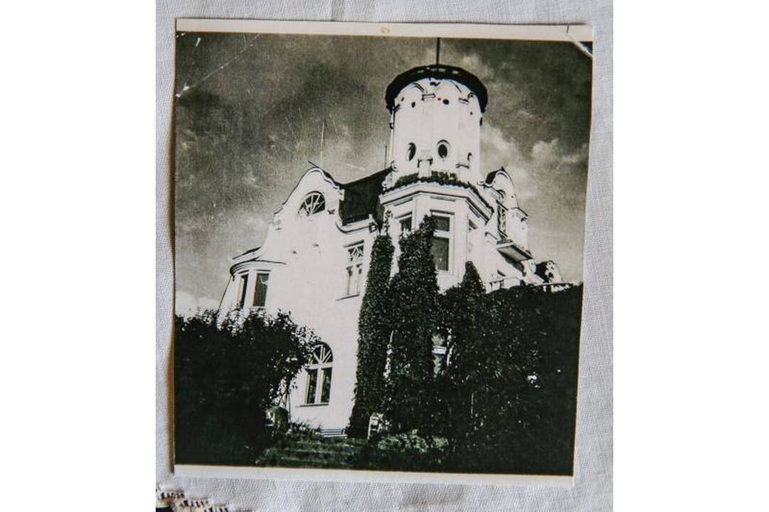 Vizbaro pilaitės                princesė