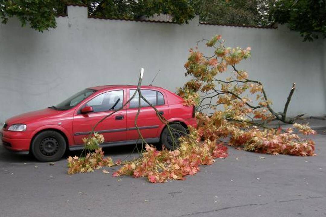 Vėjo nulaužta šaka apgadino mašiną