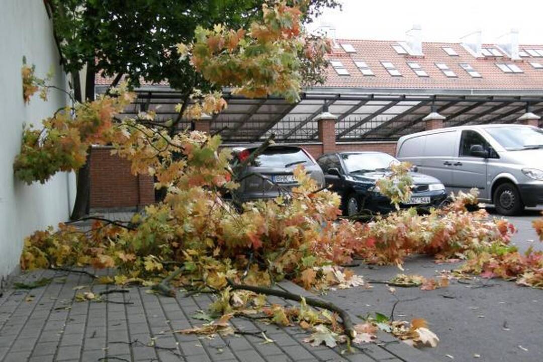 Vėjo nulaužta šaka apgadino mašiną