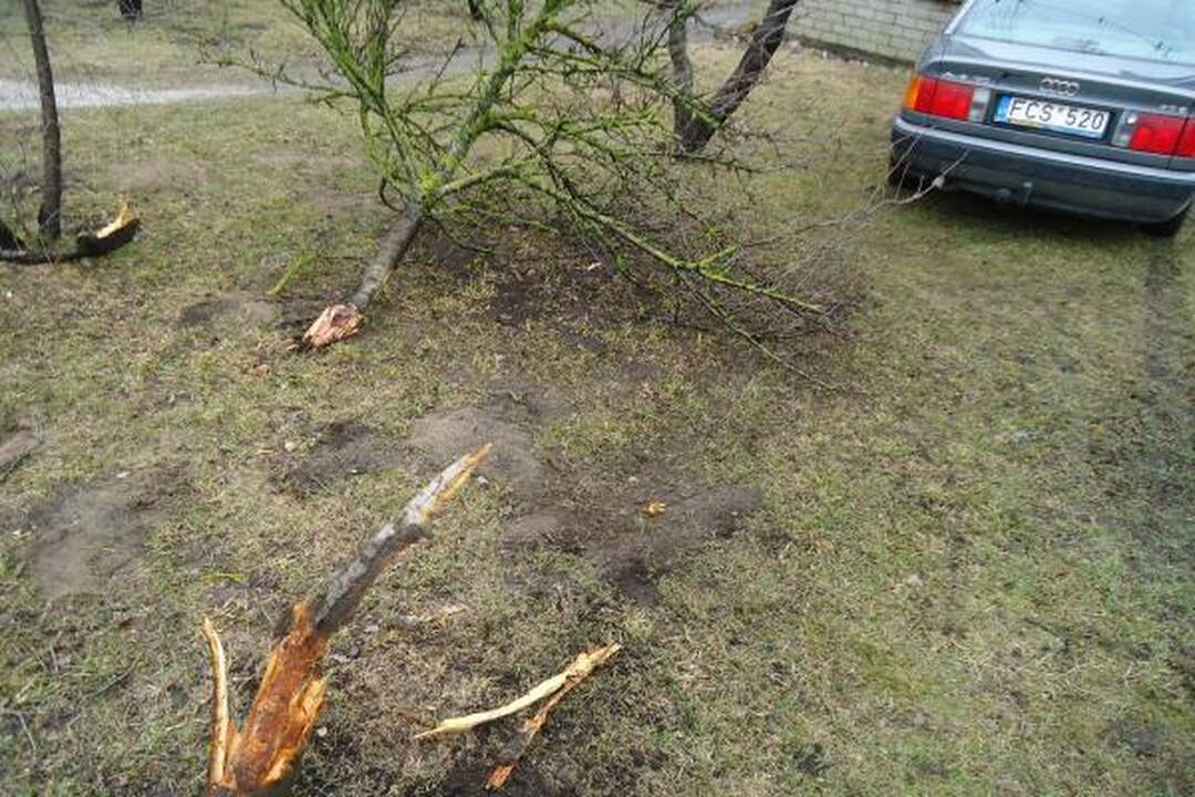 Girto policininko vairuojama mašina rėžėsi į namą (papildyta)