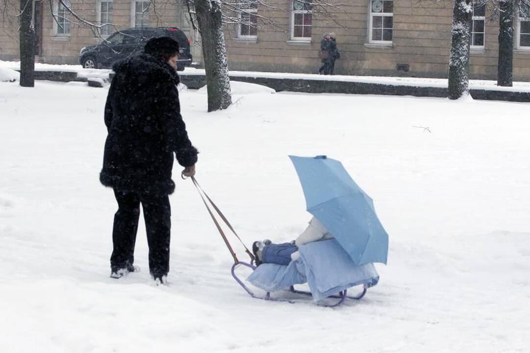 Kodėl Vilniuje  niekas neišveža  sniego?