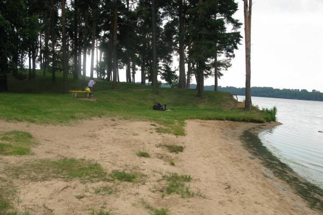 Žydintis Kauno marių vanduo poilsiautojų neatbaido