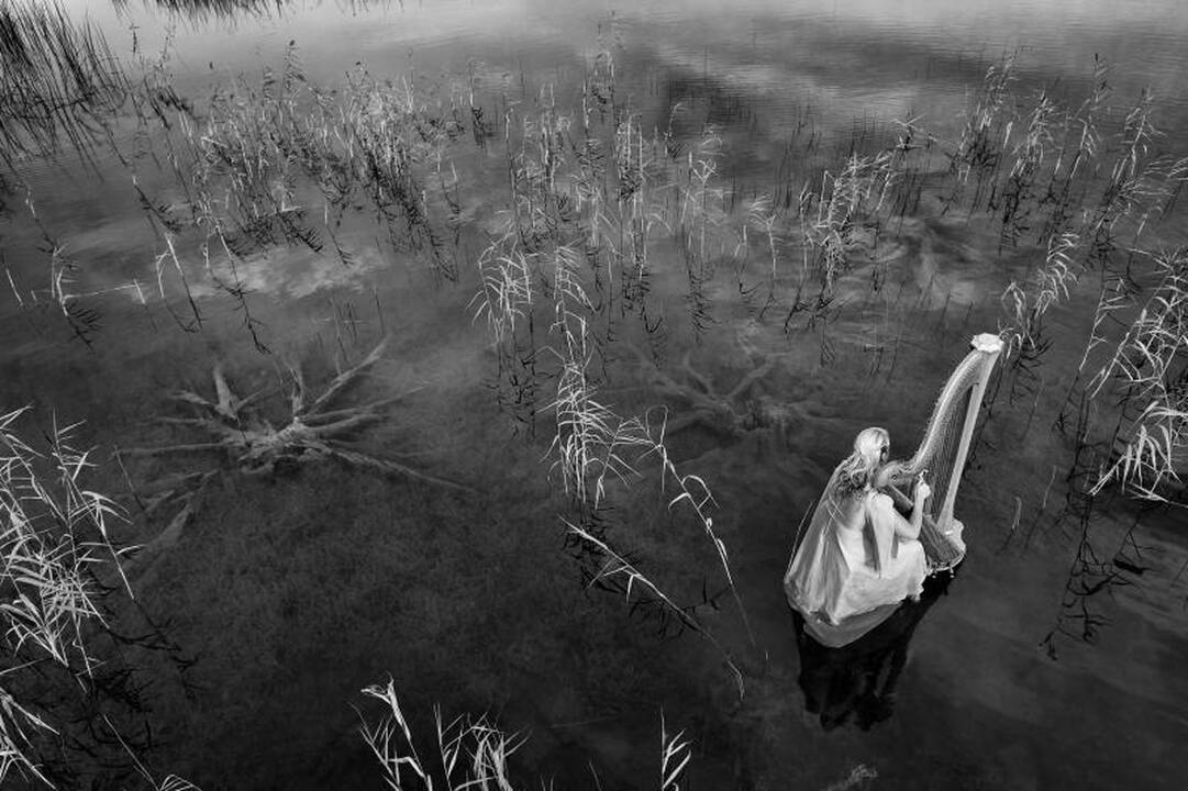 Fotografijos debiutantų parodoje - netikėti eksperimentai 