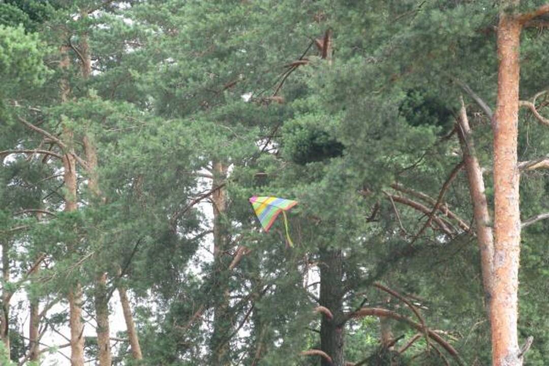 Žydintis Kauno marių vanduo poilsiautojų neatbaido
