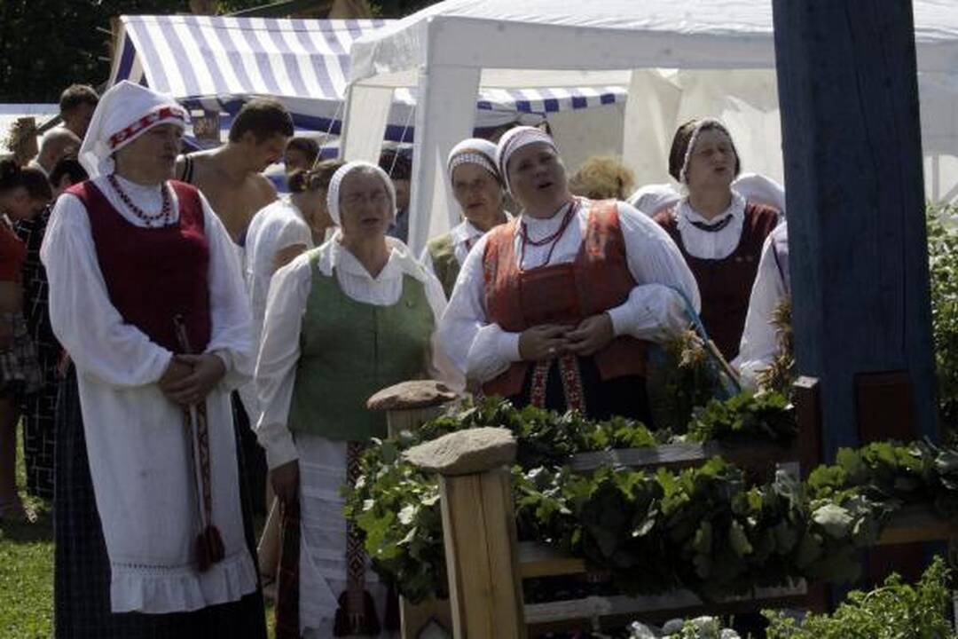 Žolinė parūpino apsaugą nuo žaibo