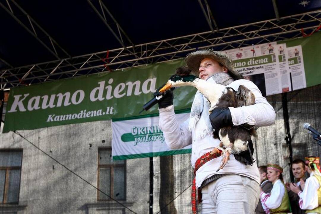 Į Laisvės alėją vilioja Kazimiero mugės kvapai