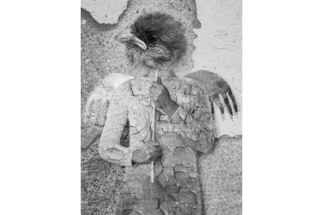Fotografijos debiutantų parodoje - netikėti eksperimentai 