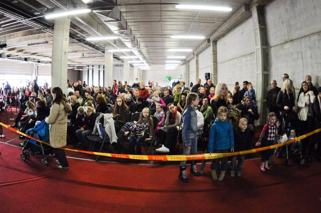 Kaune podiumu žingsniavo išpuošti keturkojai 