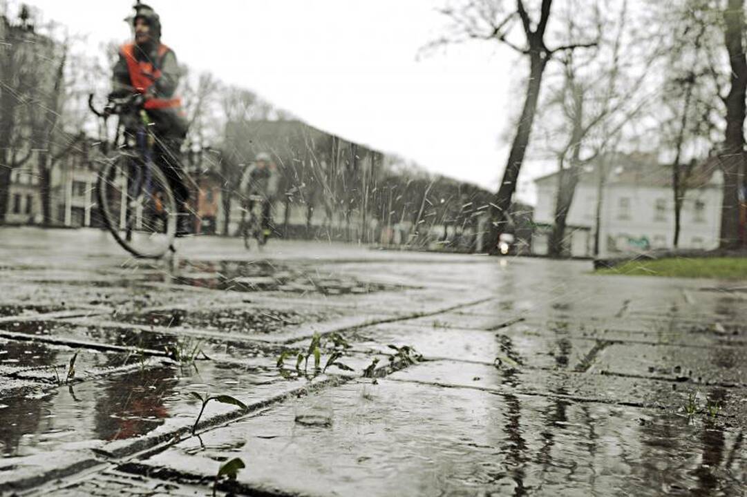 Kauno gatvėmis riedėjo dviračių paradas 