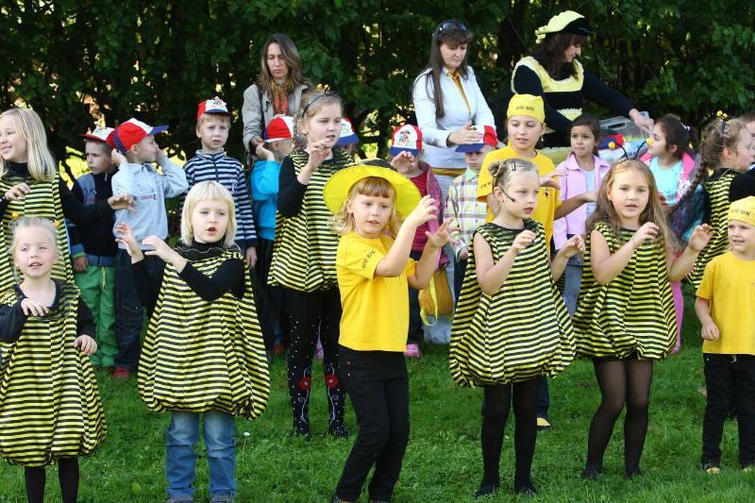 Naujas rekordas: 76 metrų ilgio gyvatvorė virto vikšru