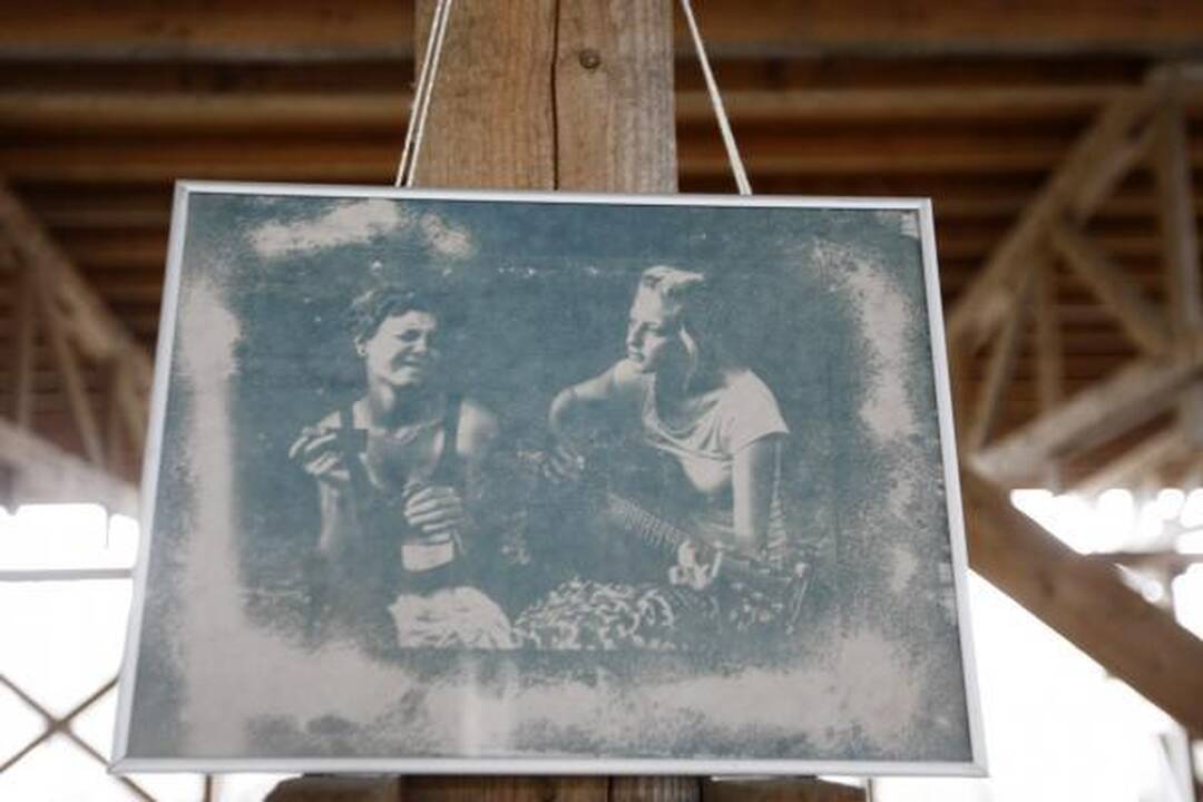 Piliavietėje susivienijo baltai