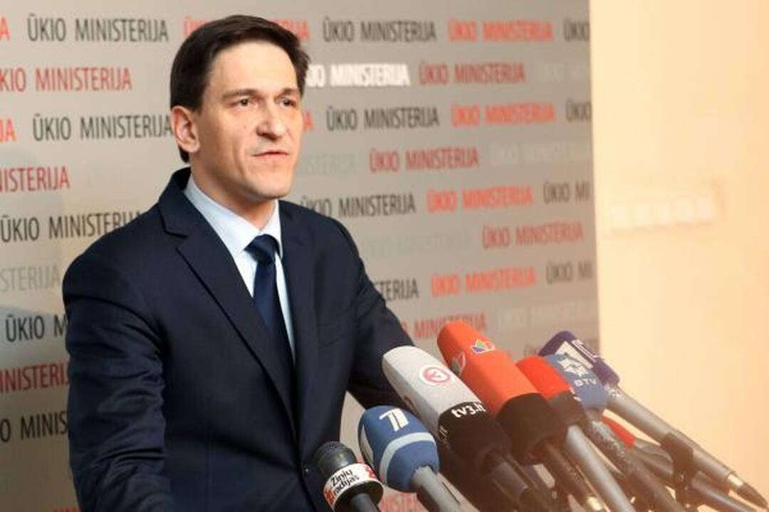 Sprendimas dėl D.Kreiviui nepalankių VTEK išvadų - kovo pabaigoje