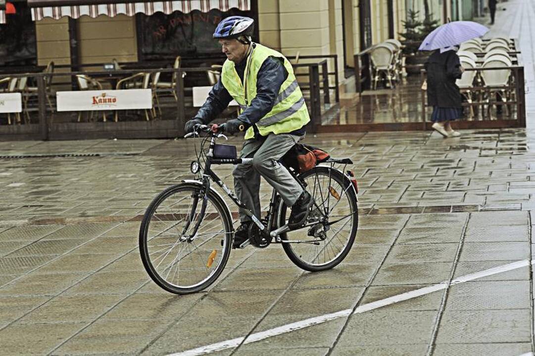 Kauno gatvėmis riedėjo dviračių paradas 