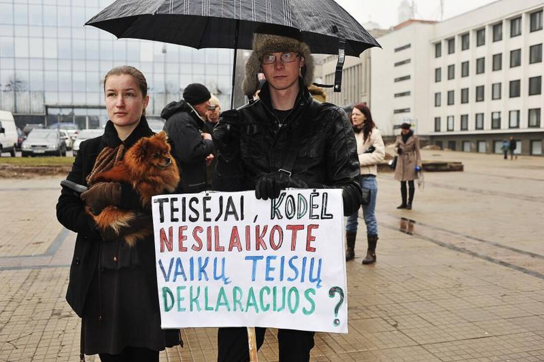 „Drąsiaus kelio“ suburtame mitinge liejosi kaltinimai