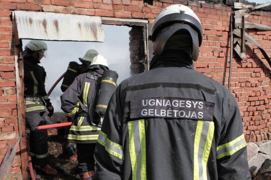 Klaipėdoje Žardupės gatvėje siautė liepsnos