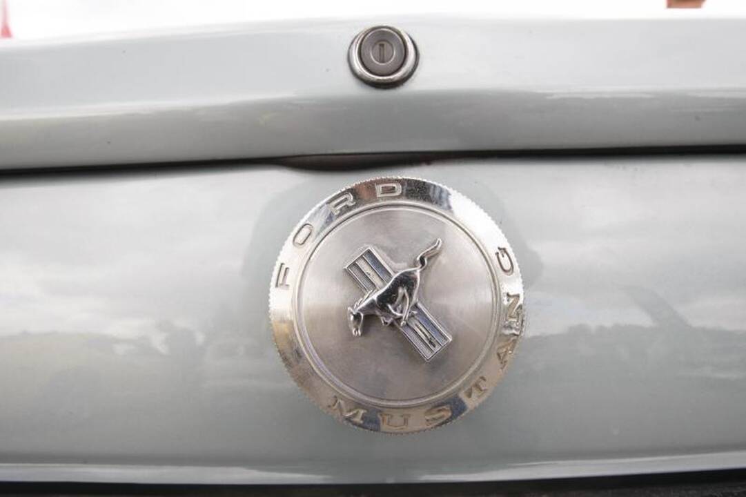 Palangą okupavo amerikietiški automobiliai
