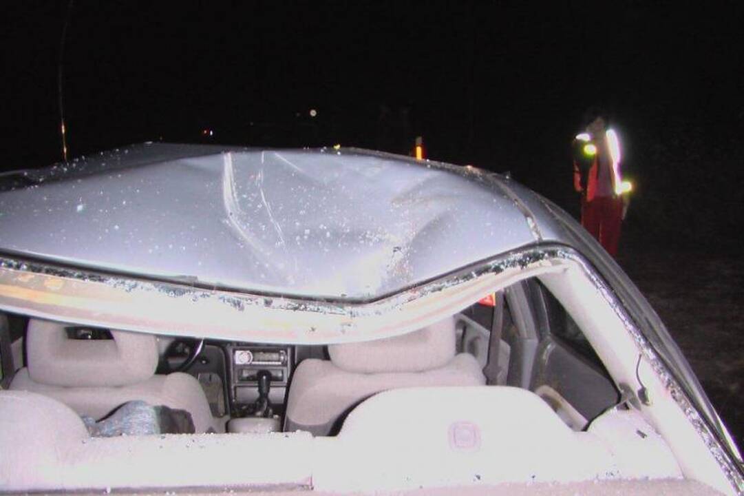 Po avarijos kumelę automobilis vežė ant stogo   