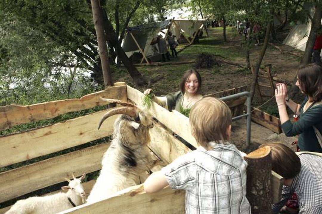 Eidami į Hanzos dienas nepamirškite skėčio ir patogios avalynės