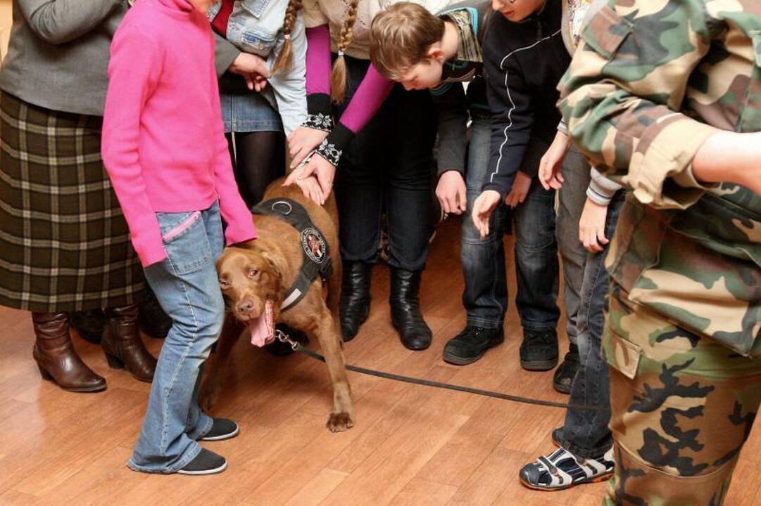 Pasieniečių šunys silpnaregiams ir akliems vaikams dovanojo šilumą