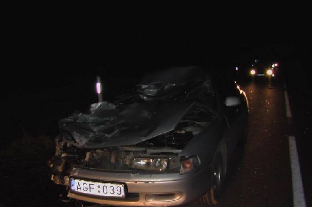 Po avarijos kumelę automobilis vežė ant stogo   