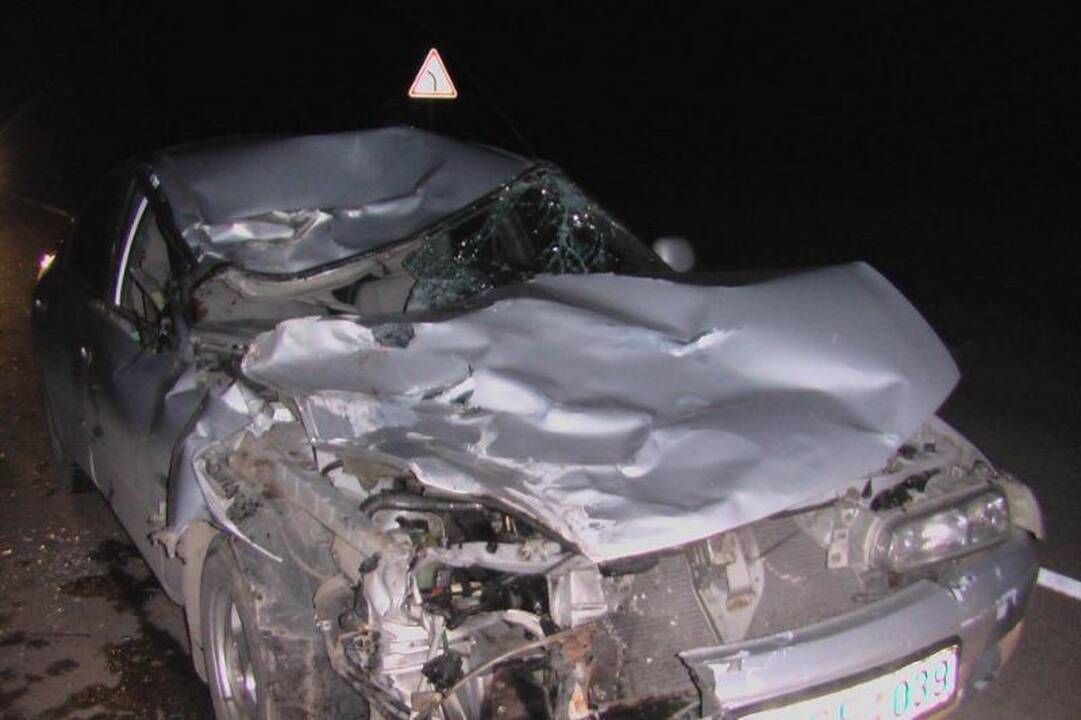 Po avarijos kumelę automobilis vežė ant stogo   