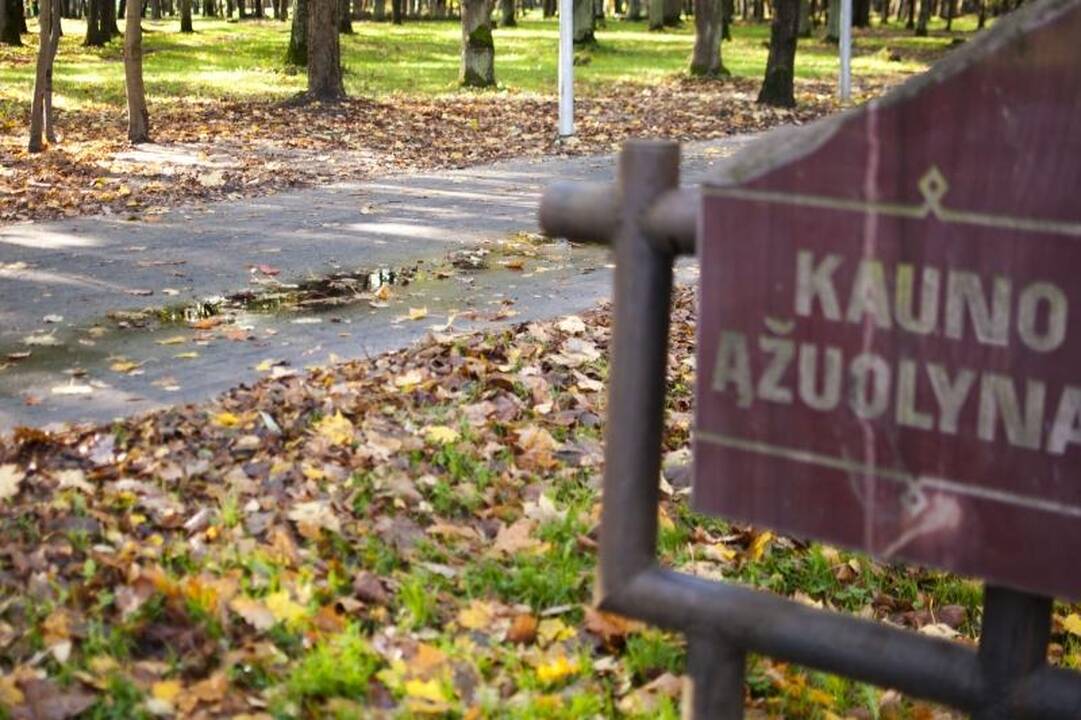 Ąžuolyne – povandeninis pėsčiųjų takas  