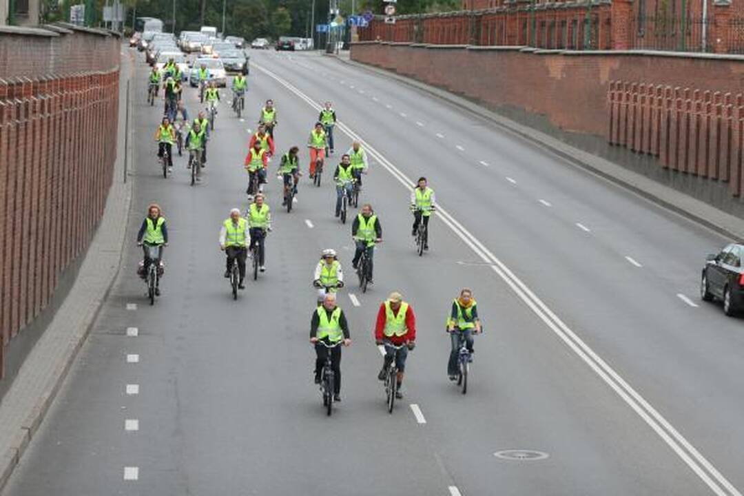 Klaipėdos medikai paminėjo Širdies dieną