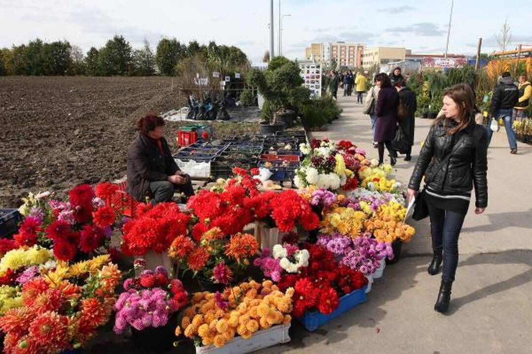Į mugę "Sprendimų ratas" – ruoštis šaltai žiemai