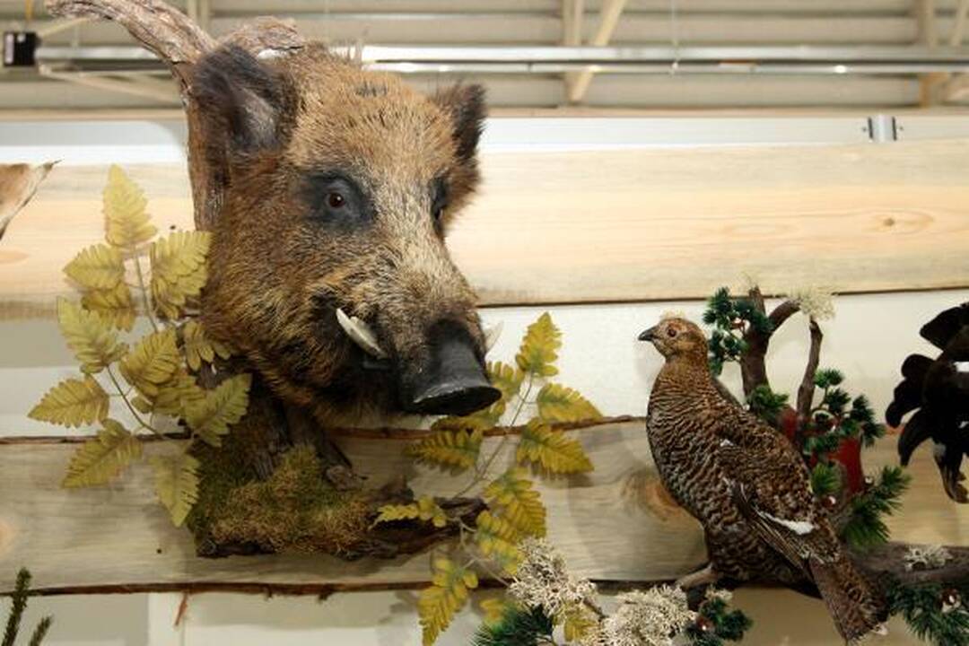 Į mugę "Sprendimų ratas" – ruoštis šaltai žiemai