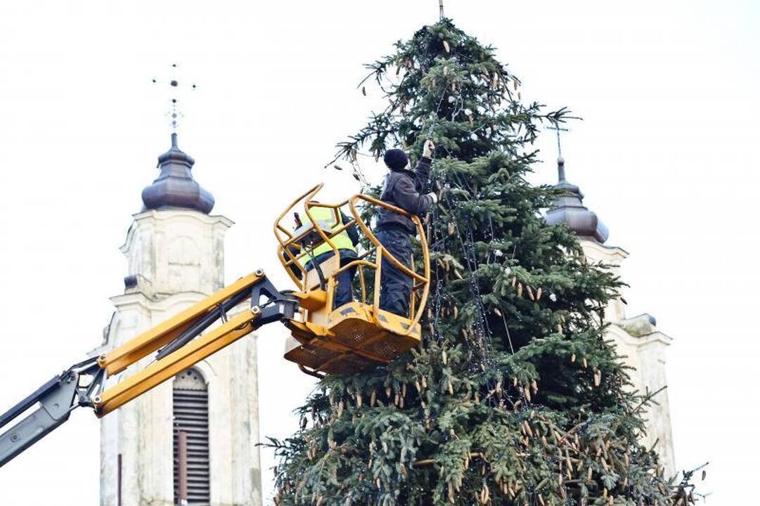 J. Šmidtienė: širdį skauda žiūrint į ardomą eglę