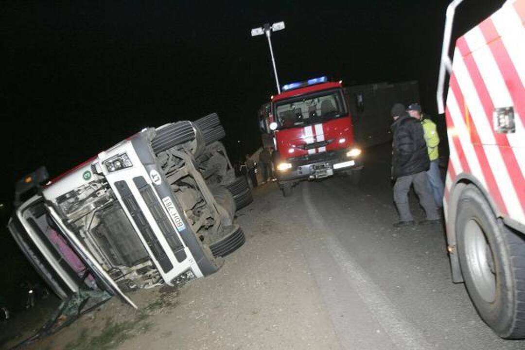 Kaune apvirto vilkikas su gyvomis kiaulėmis