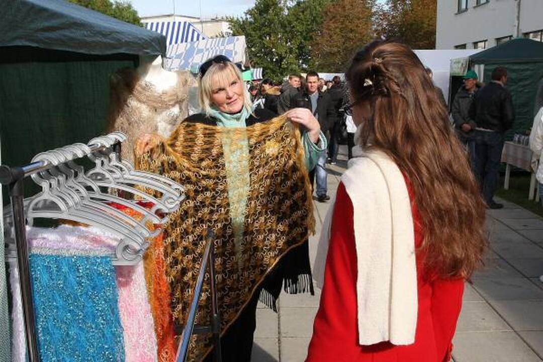 Į mugę "Sprendimų ratas" – ruoštis šaltai žiemai