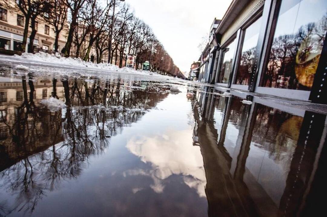 Purvini sniego kalnai Laisvės alėjoje valdininkams akių nebado