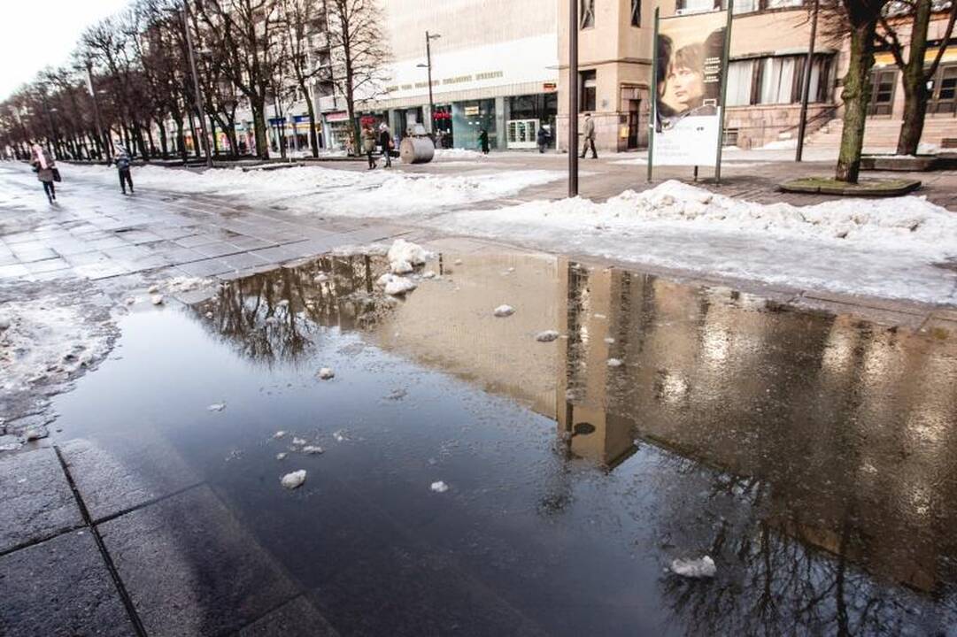 Purvini sniego kalnai Laisvės alėjoje valdininkams akių nebado