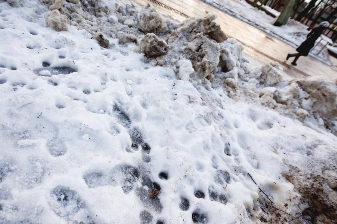 Purvini sniego kalnai Laisvės alėjoje valdininkams akių nebado
