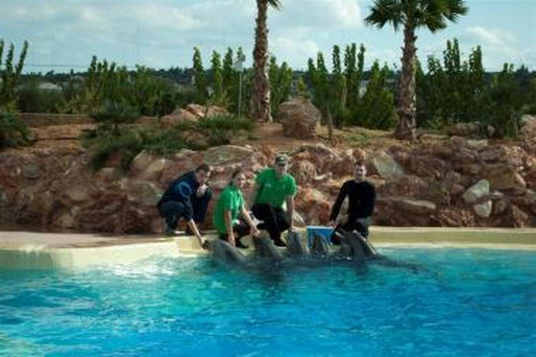 Klaipėdos delfinai Graikijoje jaučiasi puikiai