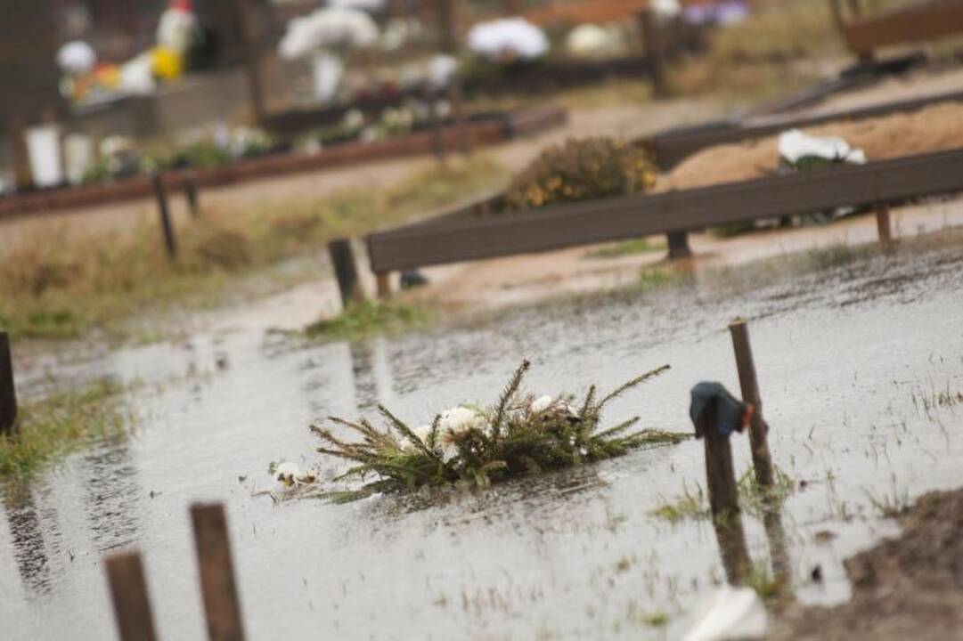 Kauniečiai priversti artimuosius laidoti pelkėje