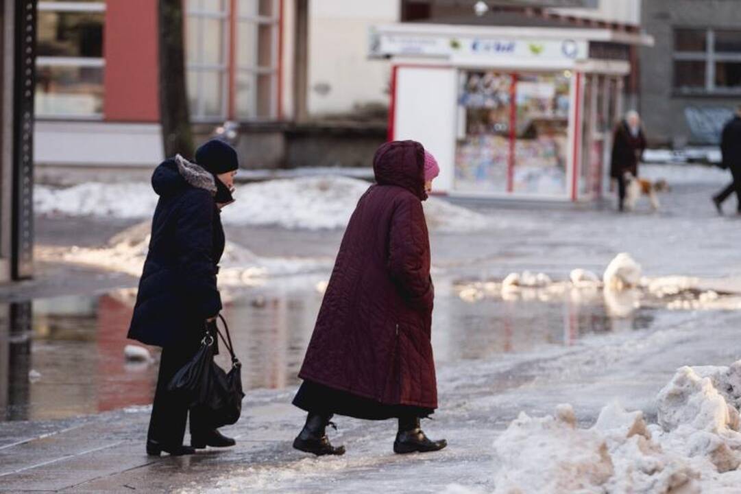 Purvini sniego kalnai Laisvės alėjoje valdininkams akių nebado