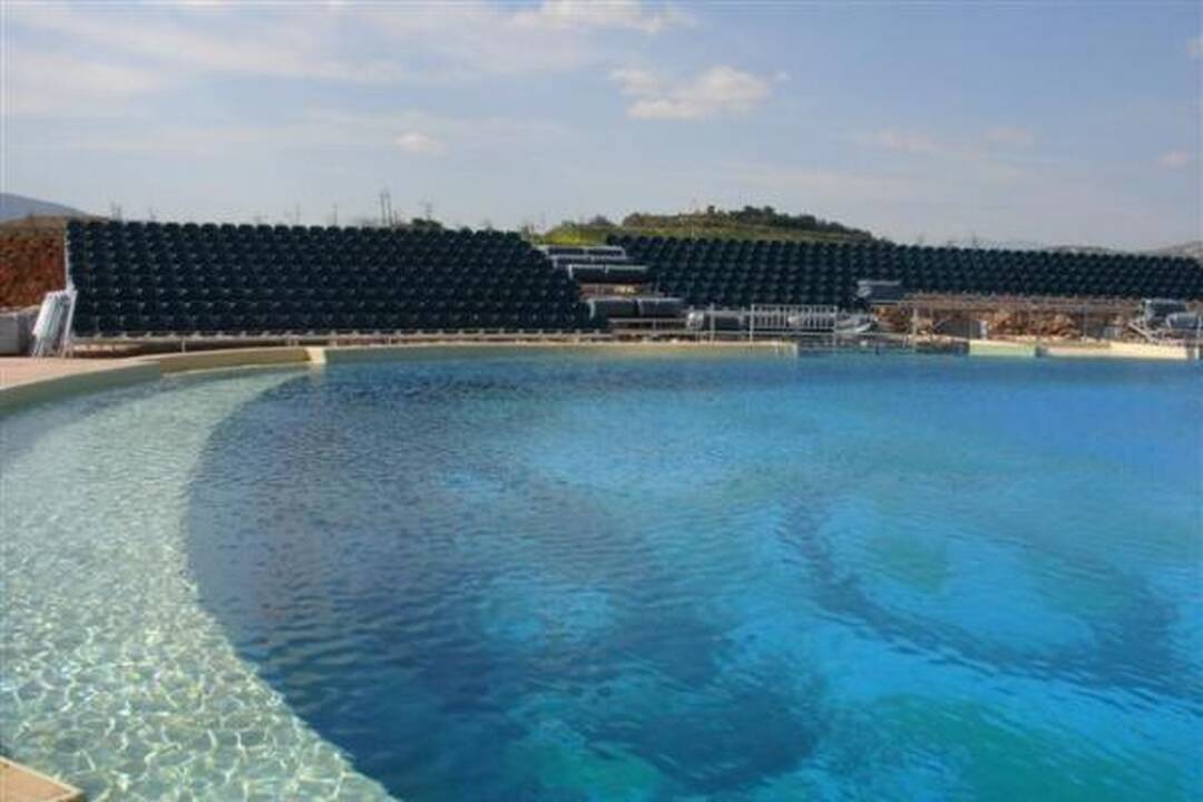Klaipėdos delfinai Graikijoje jaučiasi puikiai
