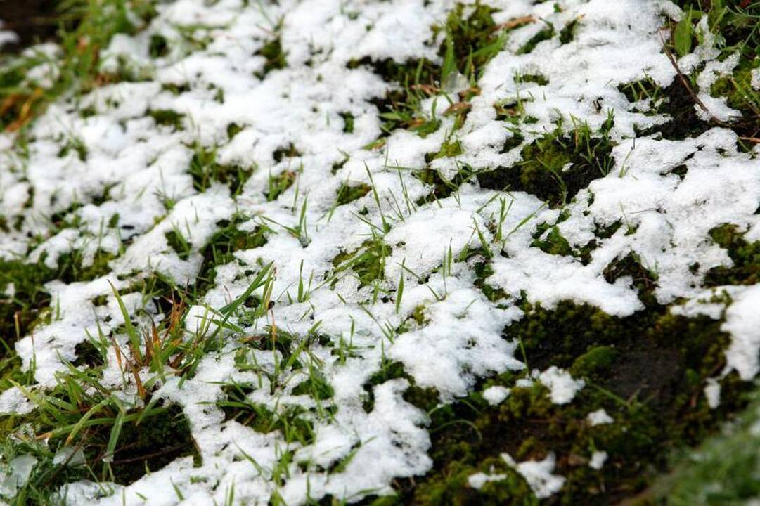 Pirmasis sniegas Kaune: 8 avarijos, tačiau žmonės nesužaloti