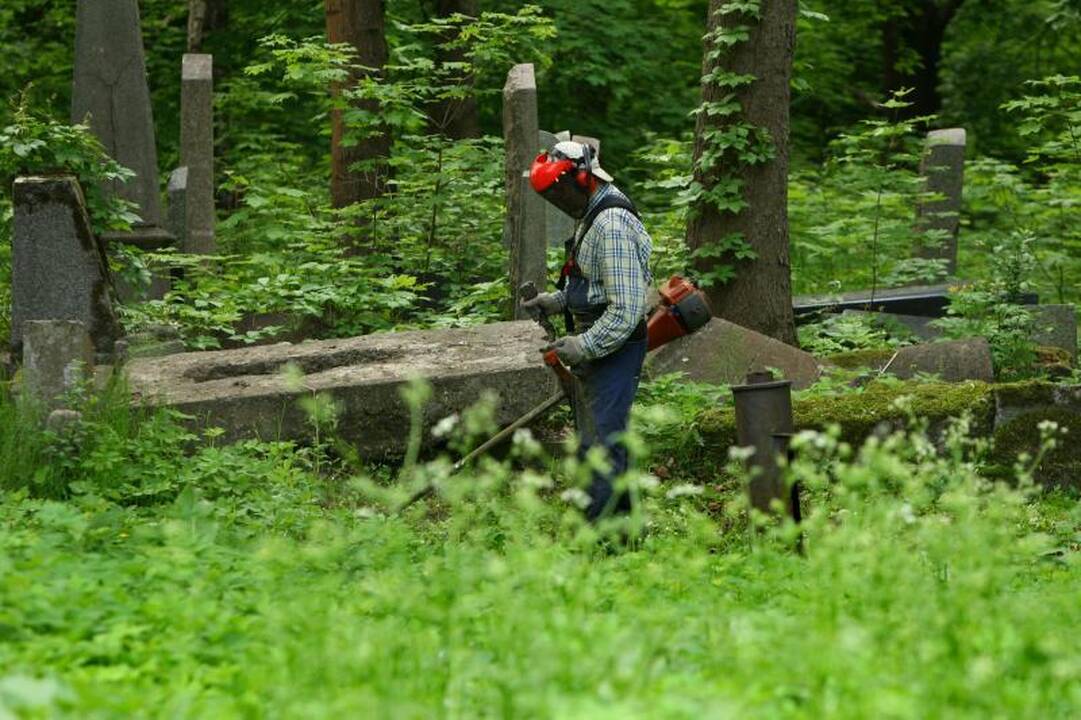 Apleistas žydų kapines pradėjo gelbėti nuo šiukšlių