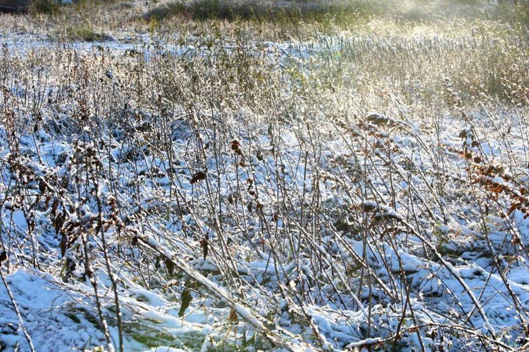 Pirmasis sniegas Kaune: 8 avarijos, tačiau žmonės nesužaloti