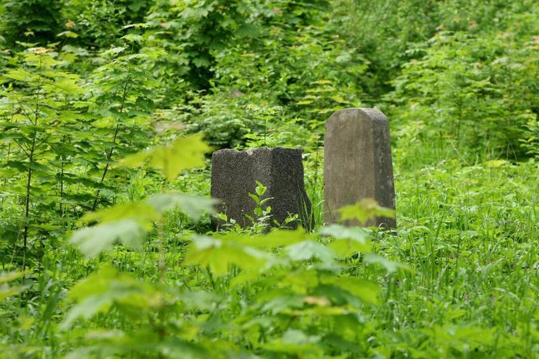 Apleistas žydų kapines pradėjo gelbėti nuo šiukšlių