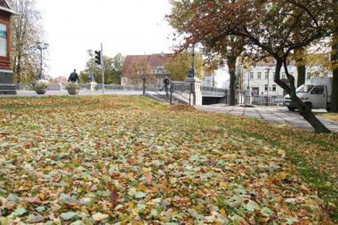 Kompostuoti žaliąsias atliekas bus siūloma ir klaipėdiečiams