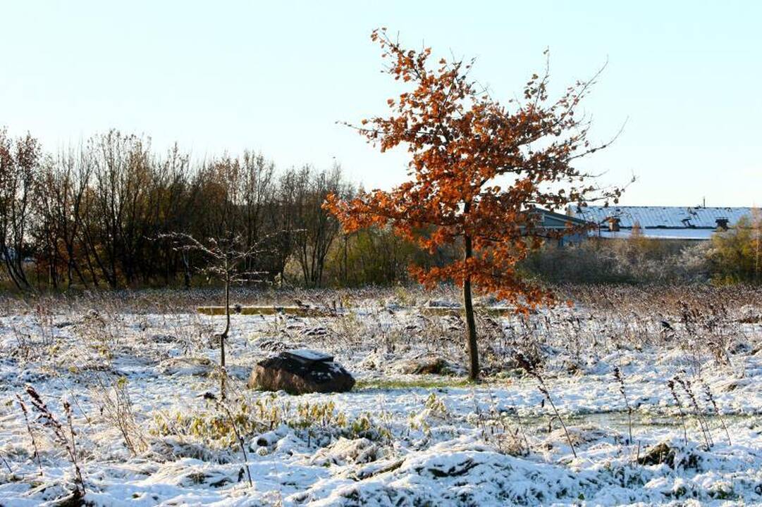 Pirmasis sniegas Kaune: 8 avarijos, tačiau žmonės nesužaloti